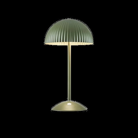 Modern table lamp with ribbed sage green dome shade and brass stem on dark background